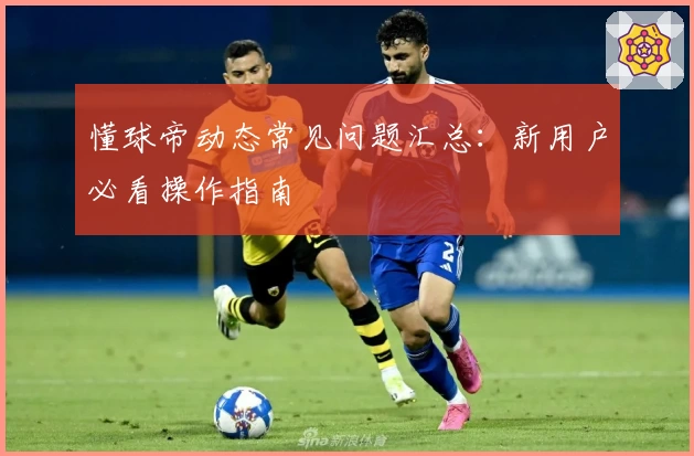 懂球帝动态常见问题汇总：新用户必看操作指南